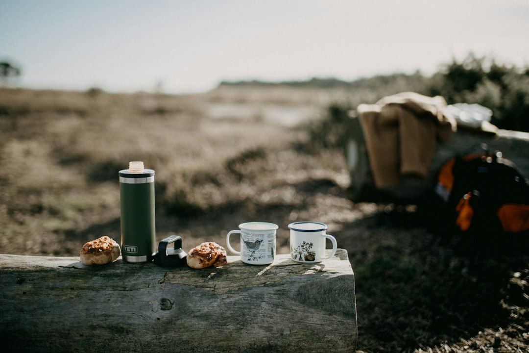 Explore Your Perfect Travel Experience